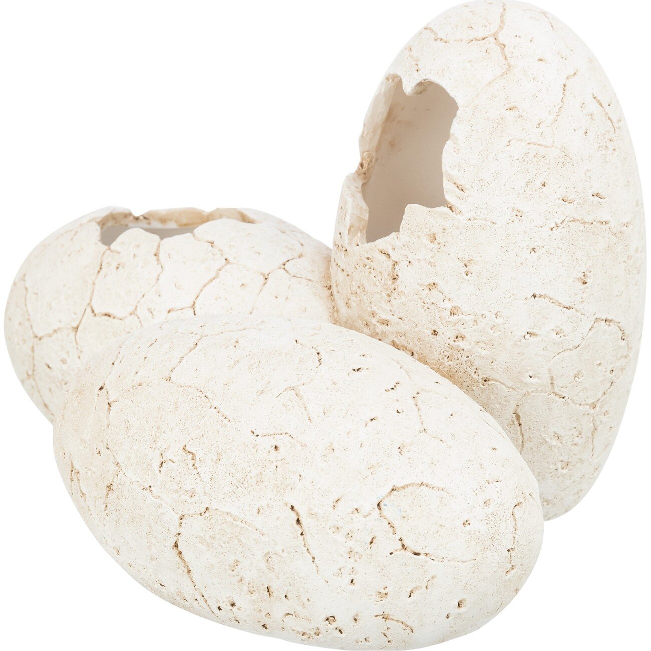 Eier Reptilienhöhle Bild 1