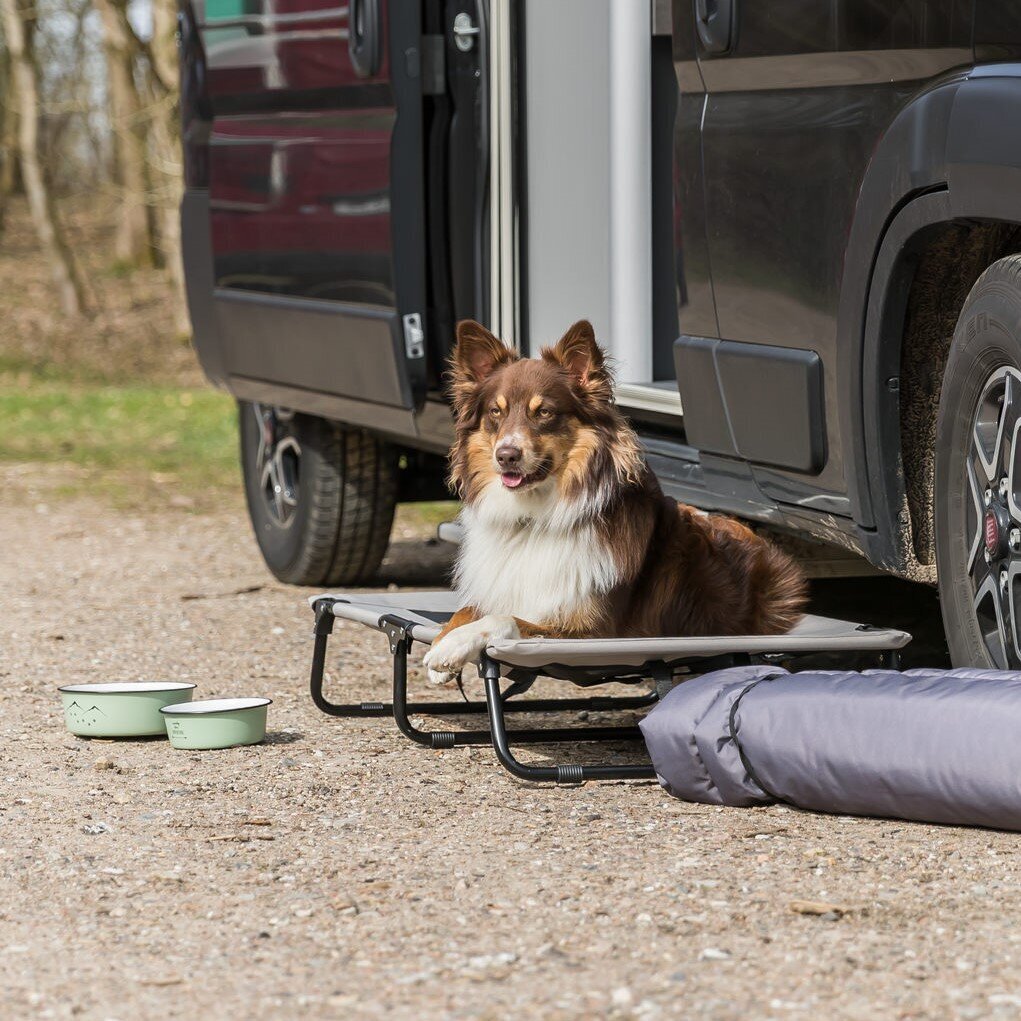 Emaille Hundenapf rund Bild 2