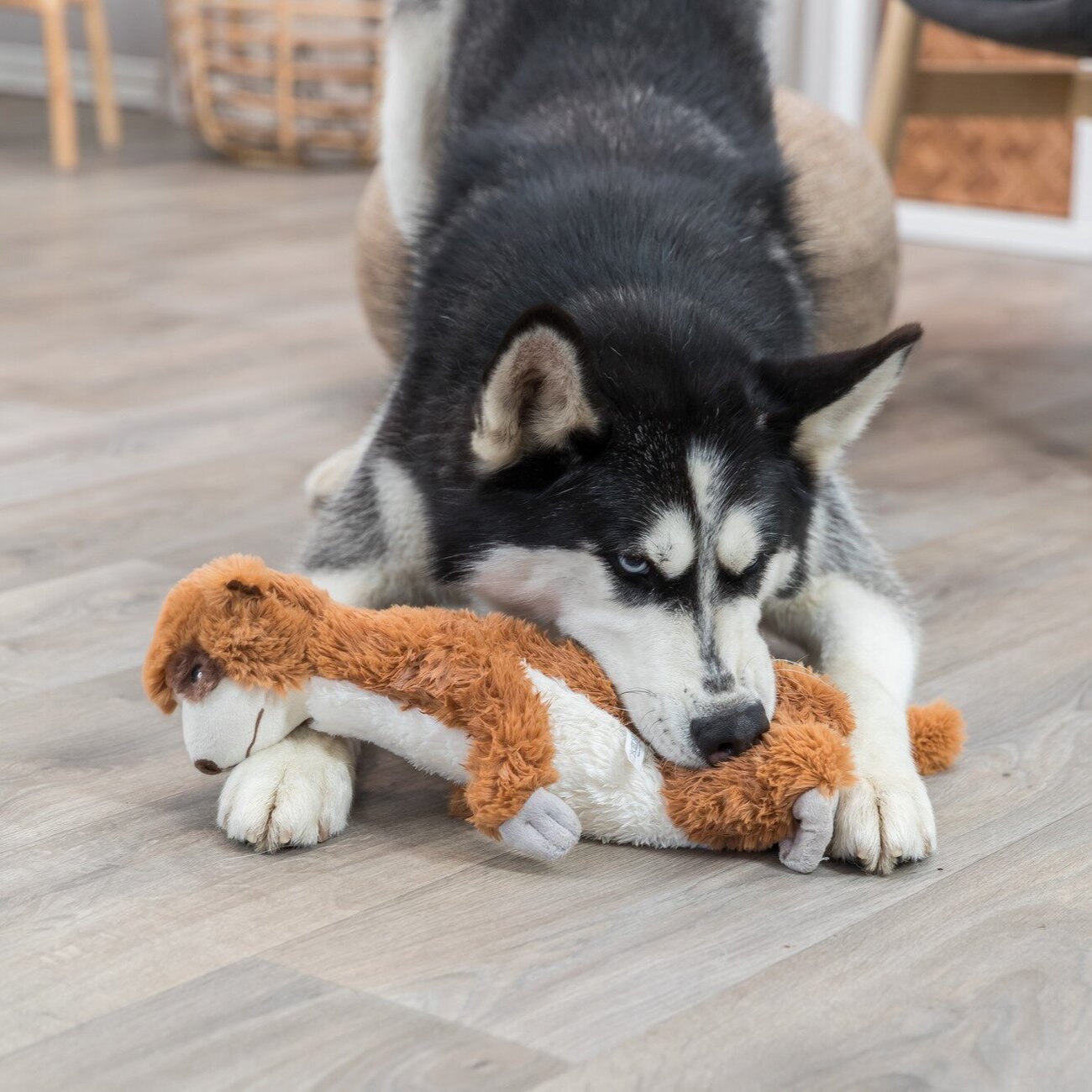 Erdmännchen mit Stimme Bild 2