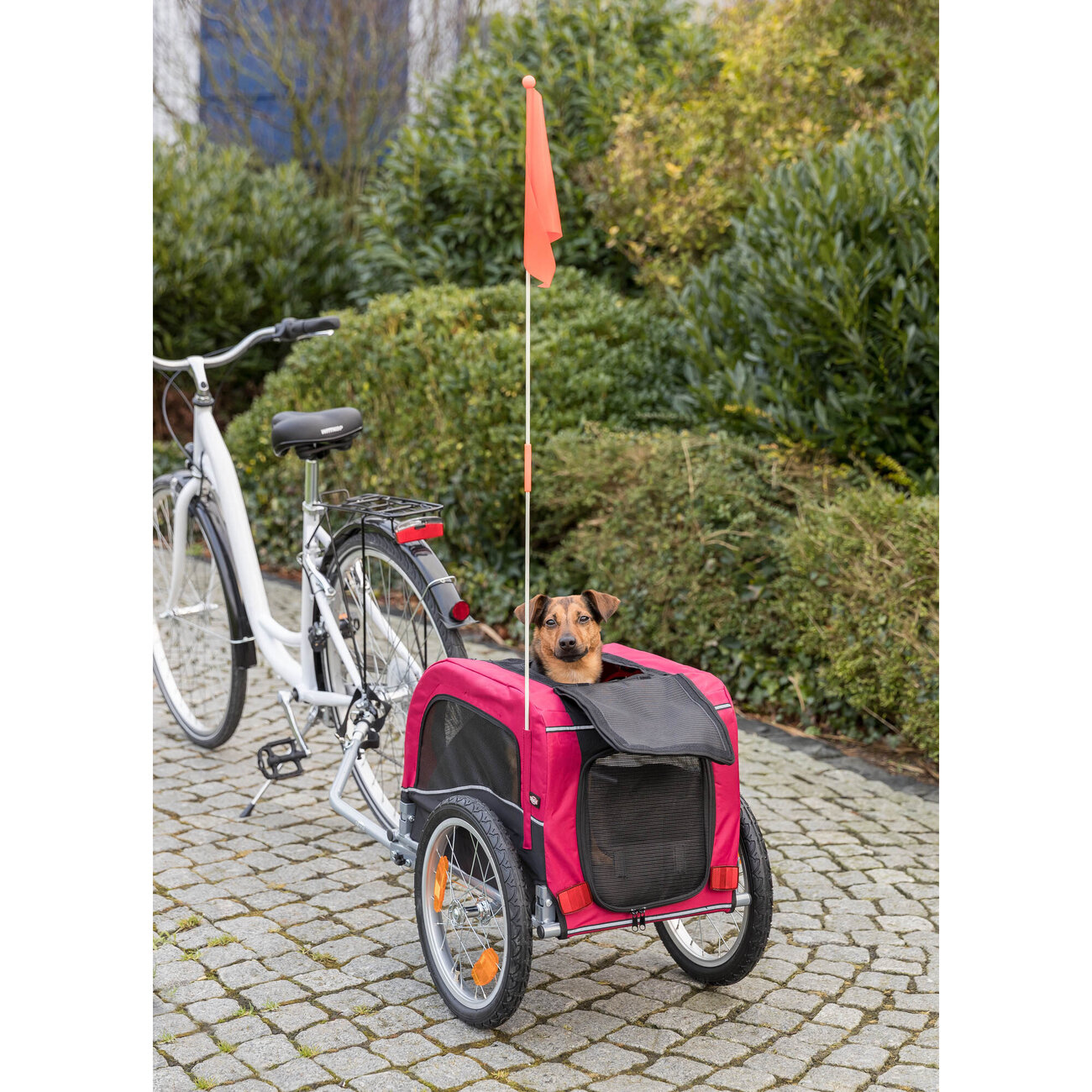 Hundefahrradanhänger mit Kurzleine Bild 3