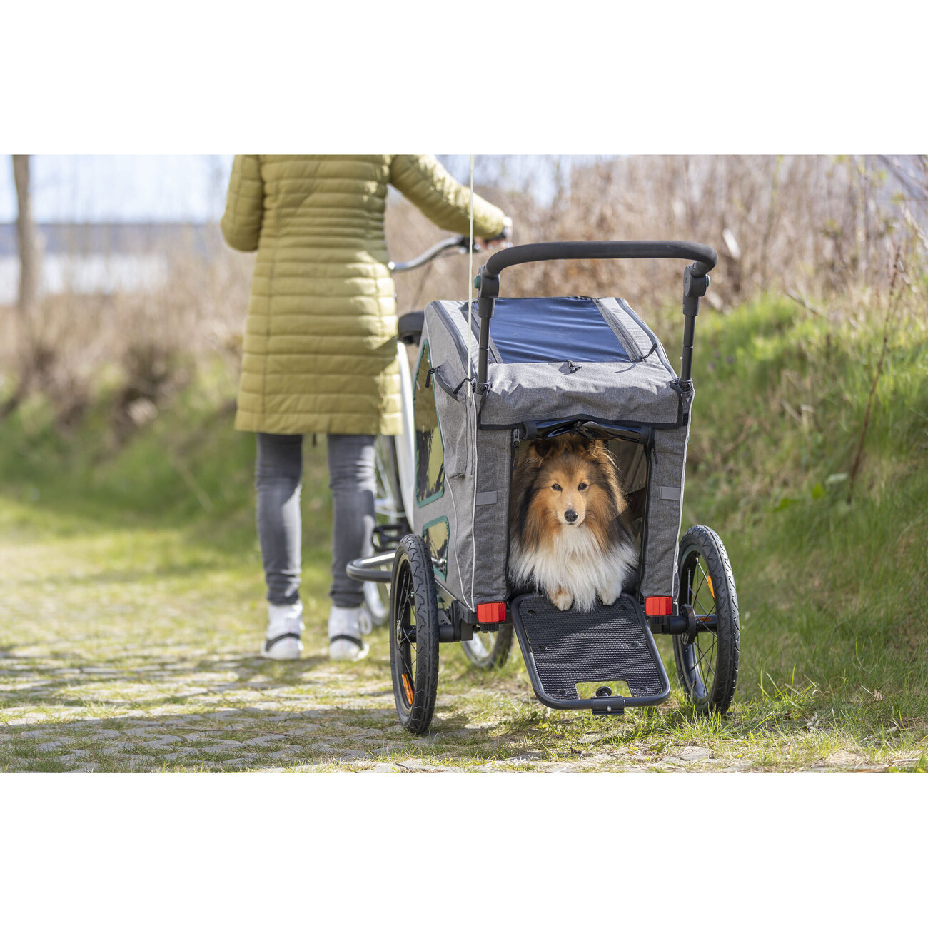 Fahrradanhänger für Hunde gefedert Bild 2