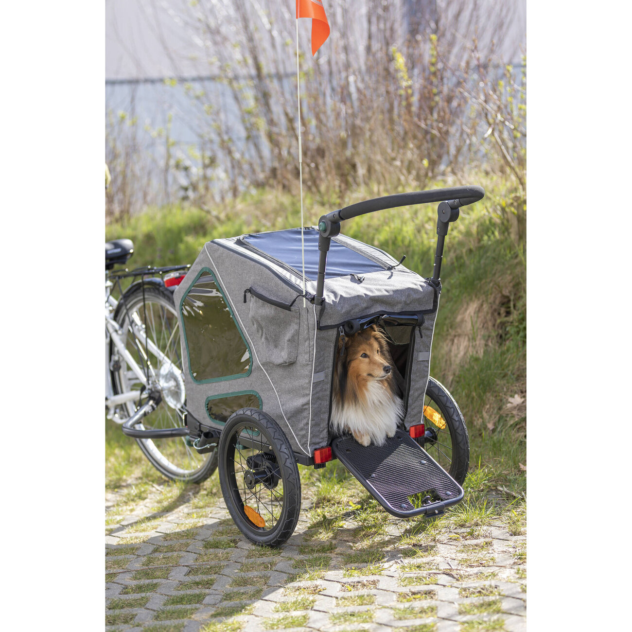 Fahrradanhänger für Hunde gefedert Bild 12