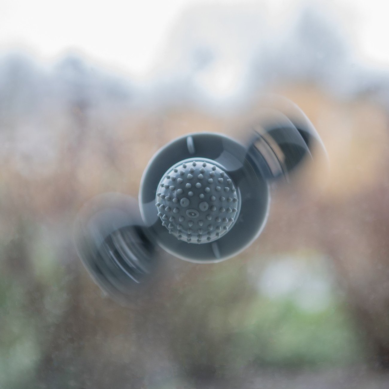 Fensterkreisel für Katzen Bild 6