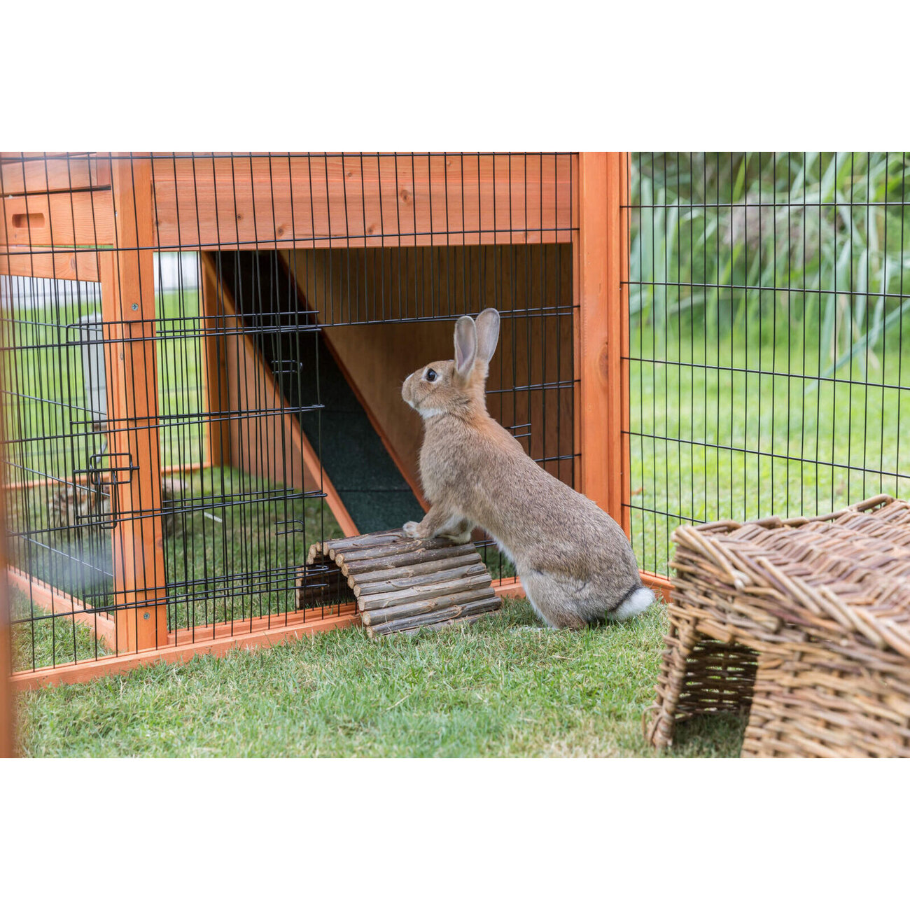 Freilaufgehege XL mit Abdeckung Bild 8