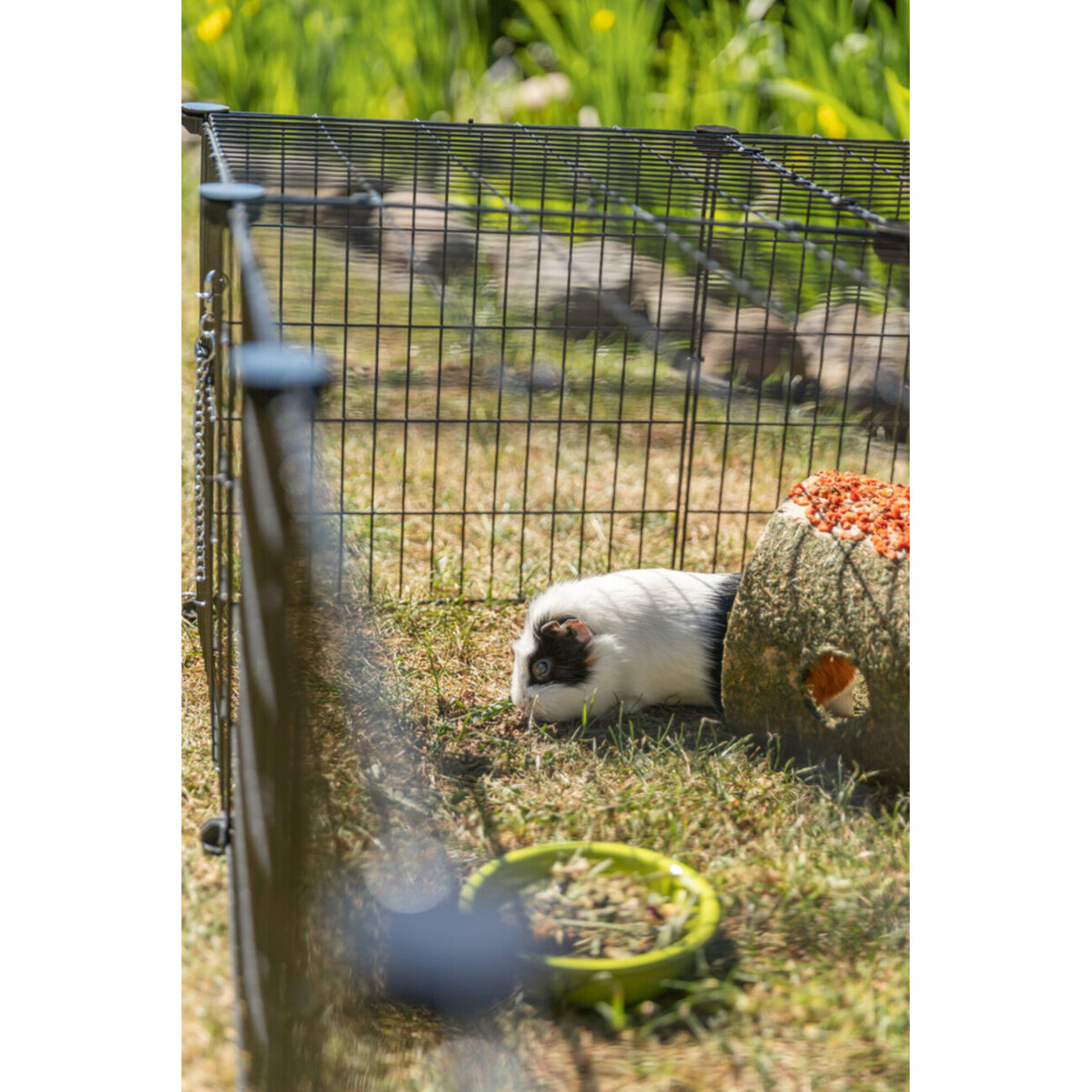 TRIXIE Freilaufgehege mit Abdeckung | Sicherer Auslauf für Kaninchen & Meerschweinchen Bild 8