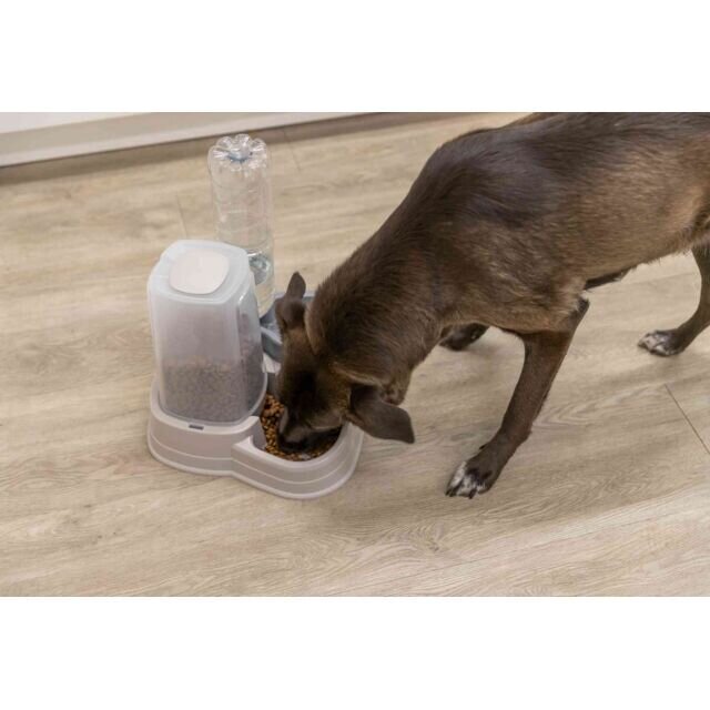 Futter- und Wasserspender für Hunde Bild 10