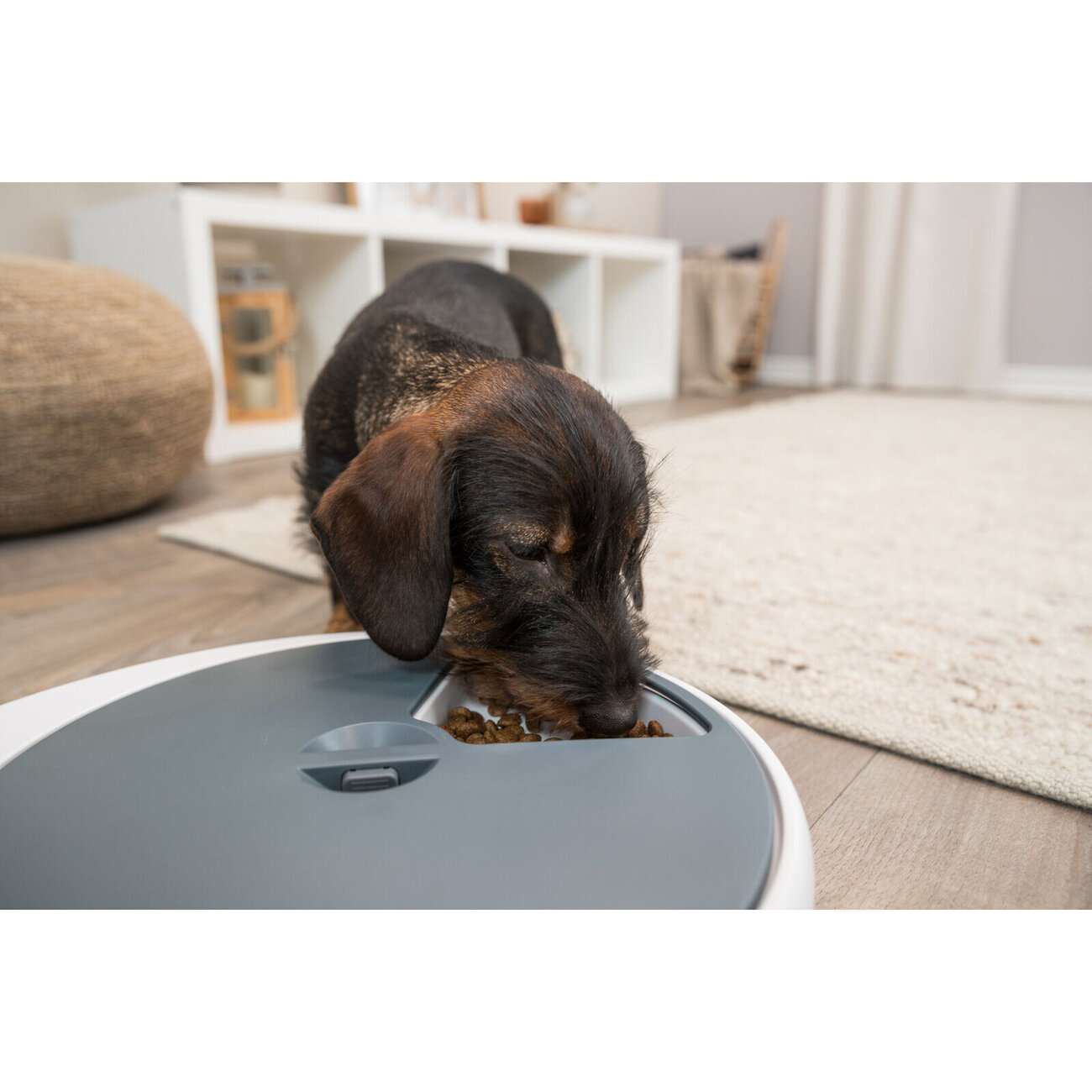 Futterautomat TX4+1 für Katzen und Hunde mit Timer Bild 3