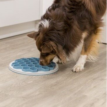 Futterplatte Hive für Hunde Bild 2