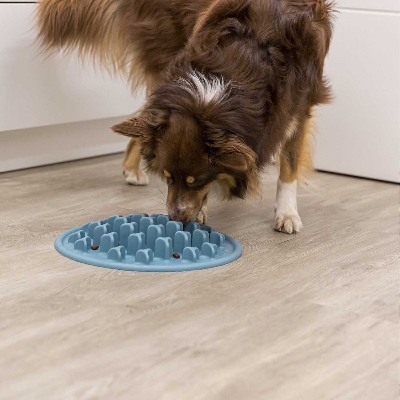 Futterplatte Pillars für Hunde Bild 2