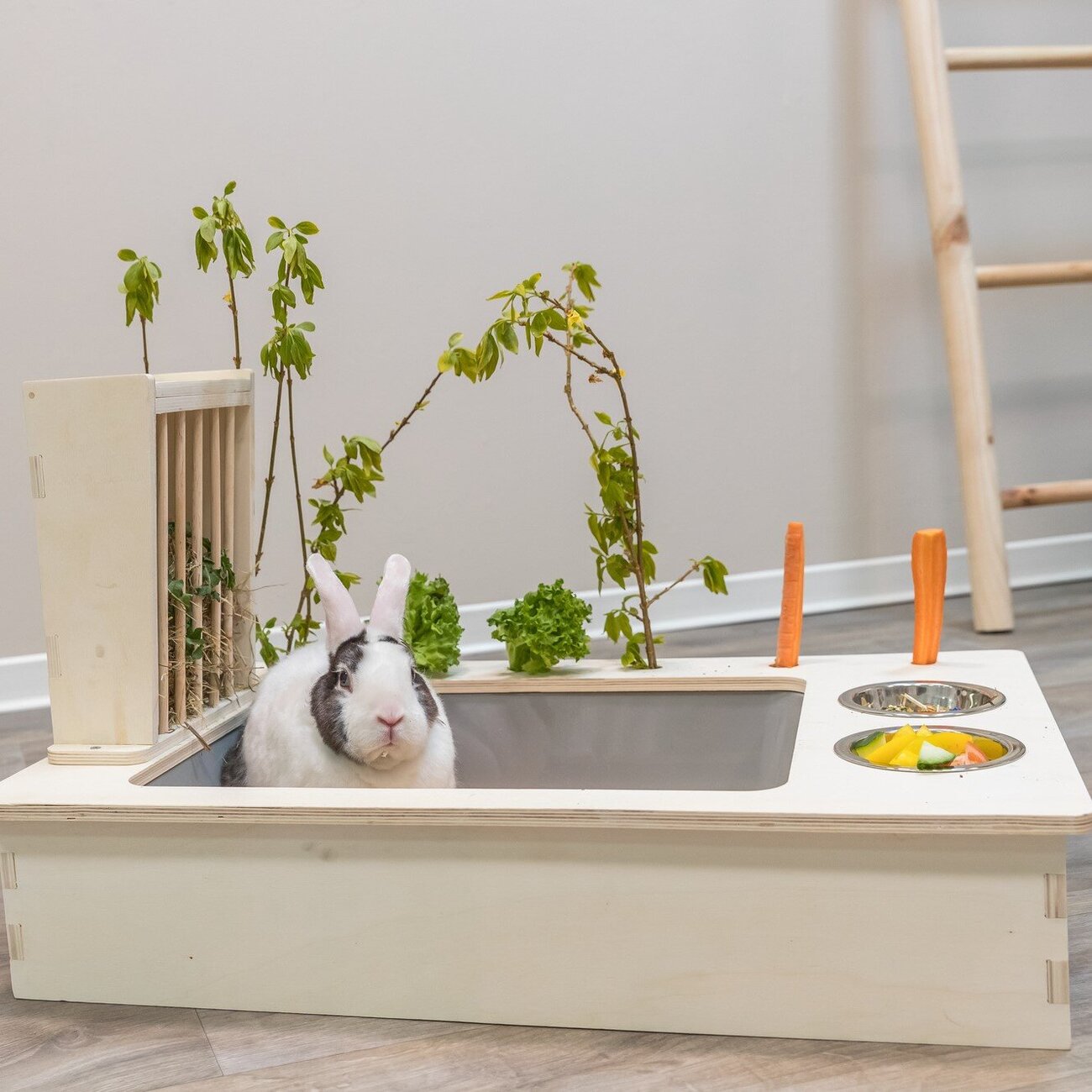 Futterstation für Nager aus Holz Bild 3