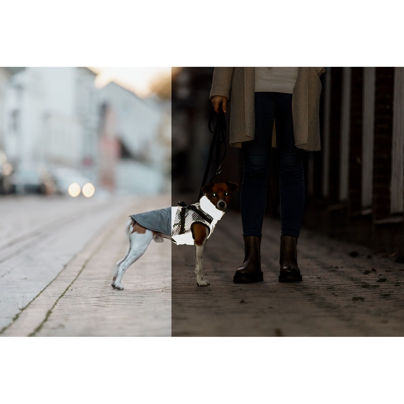 Geschirr-Wintermantel für Hunde Pontis Reflect Bild 4