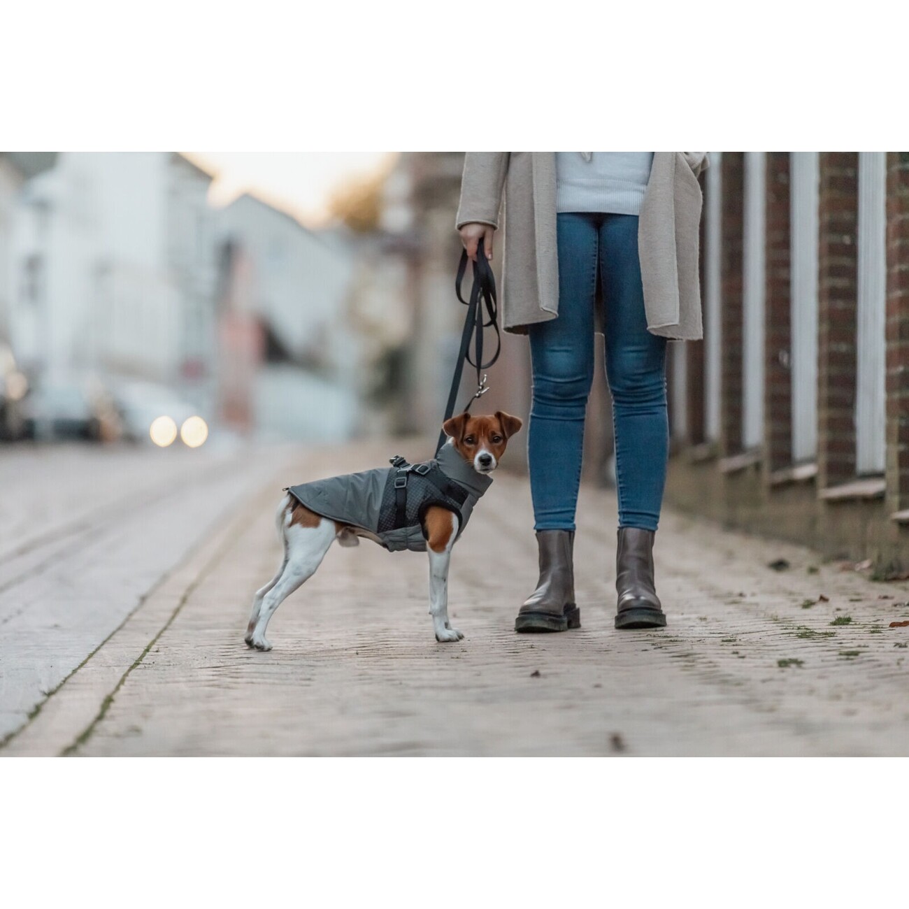 Geschirr-Wintermantel für Hunde Pontis Reflect Bild 5