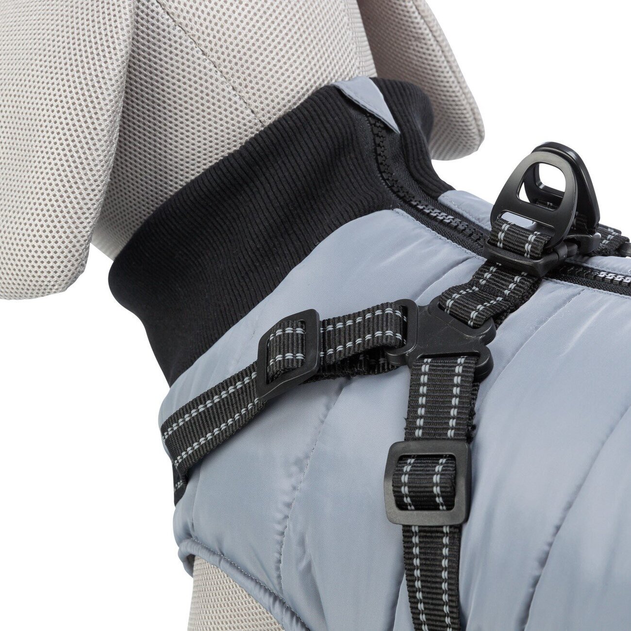 Geschirrmantel Pontis Bild 3