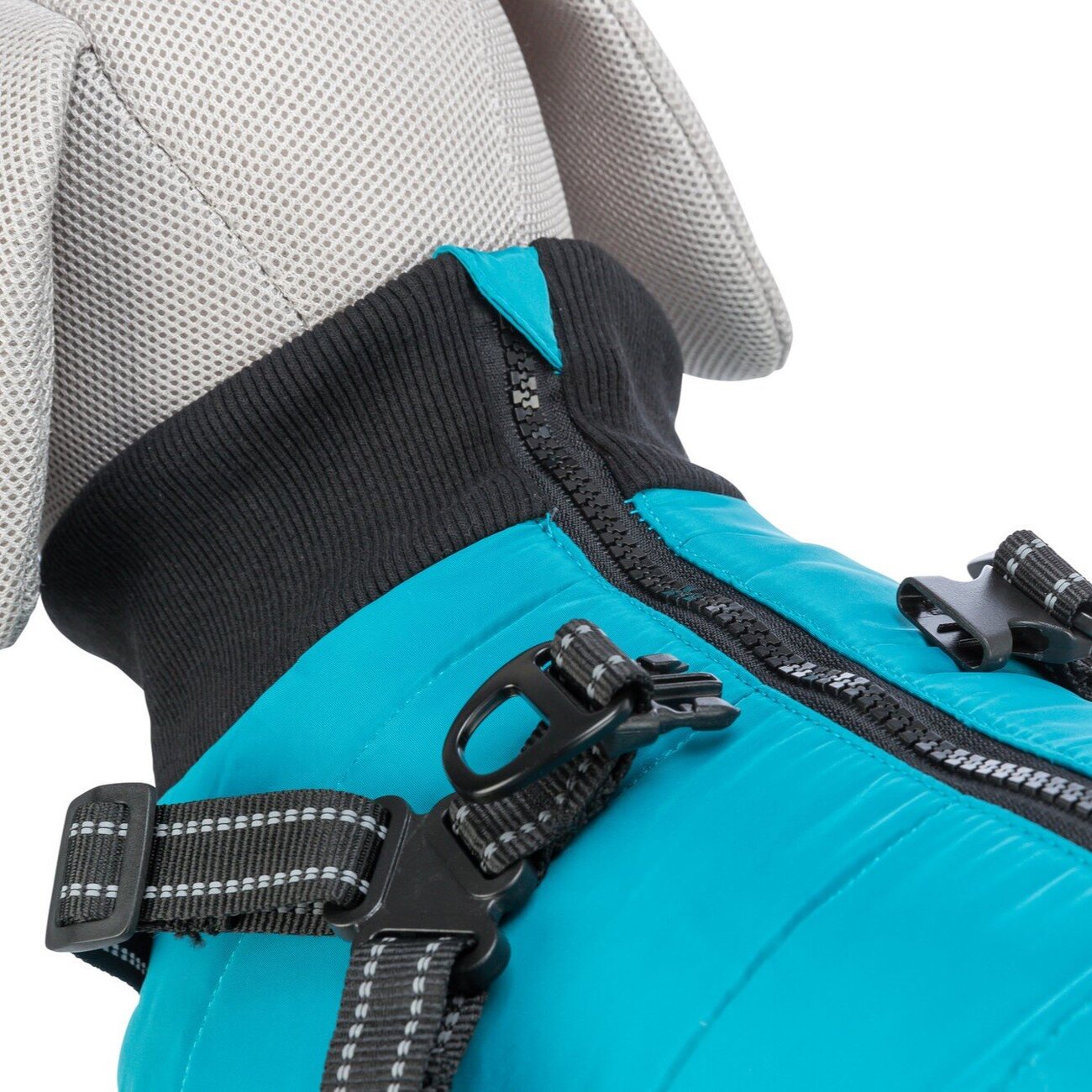 Geschirrmantel Pontis Bild 11