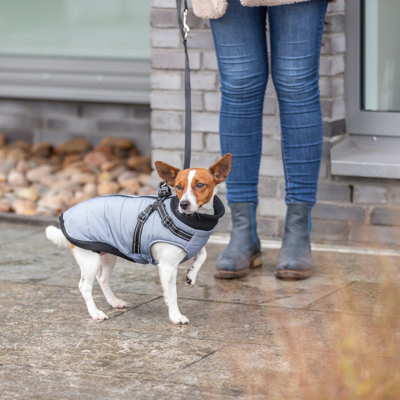 Geschirrmantel Pontis Bild 2