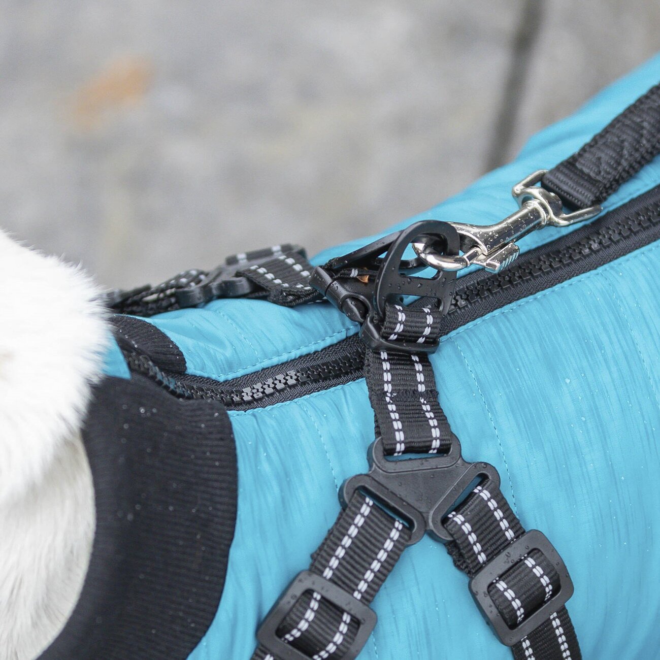 Geschirrmantel Pontis Bild 17