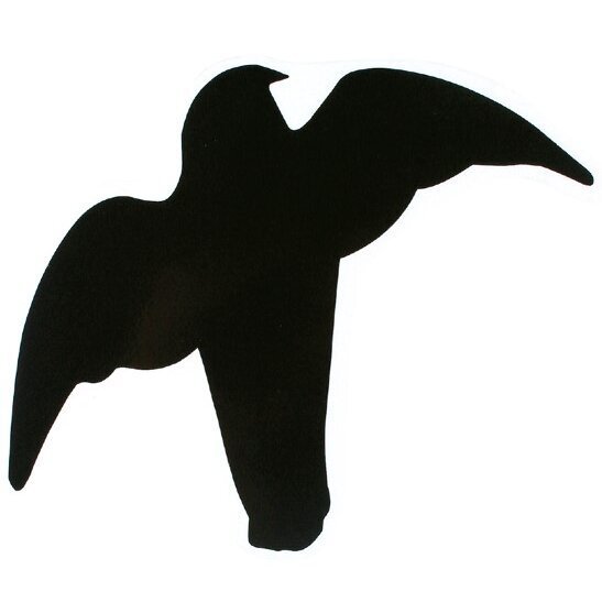 Greifvogel Aufkleber Bild 4