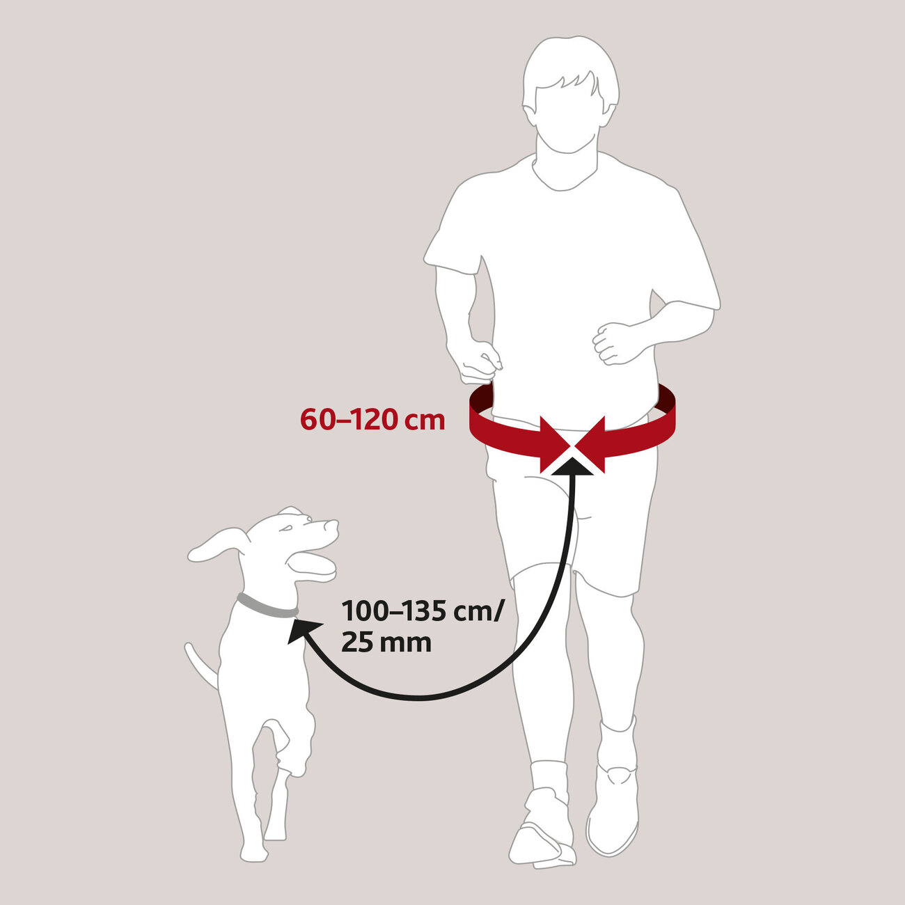 Hundeleine mit Bauchgurt, Hunde Joggingleine Bild 5