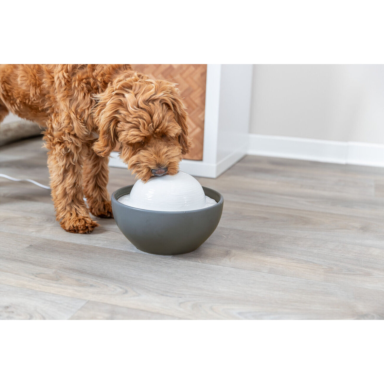 Haustier Trinkbrunnen Vital Dome aus Keramik Bild 2