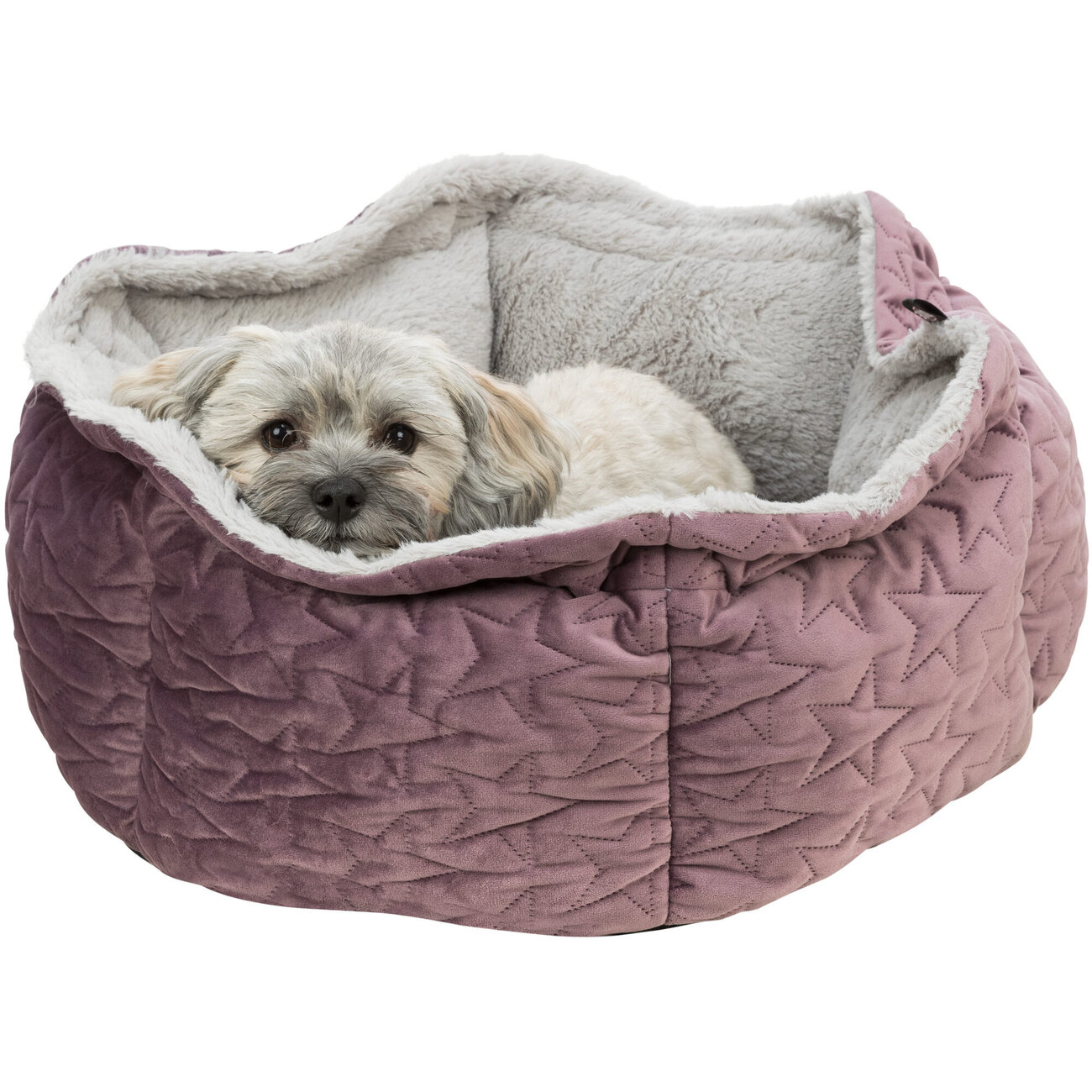 Haustierbett Estelle Hund und Katze Bild 3