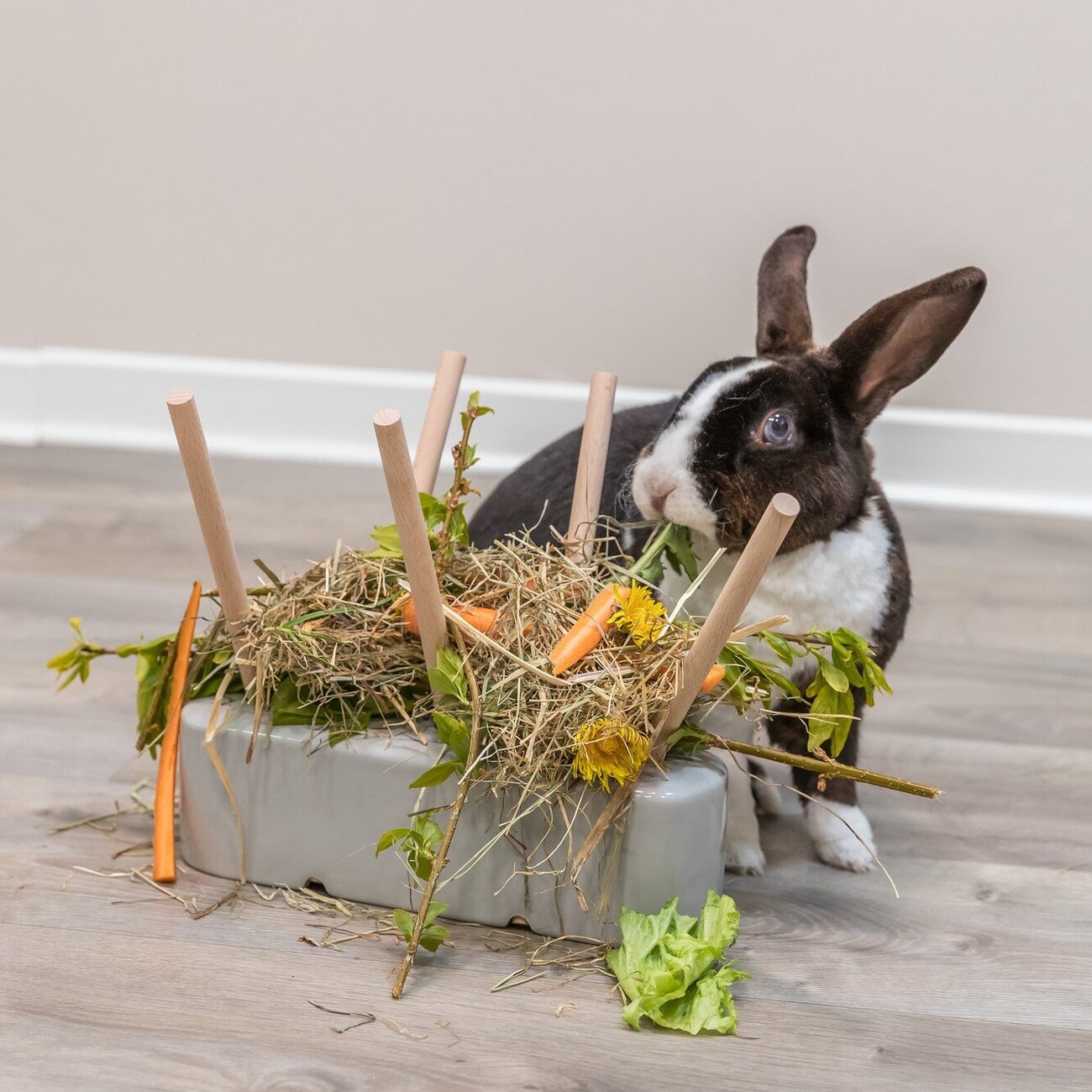 Heu und Futterraufe für Kleintiere Bild 2