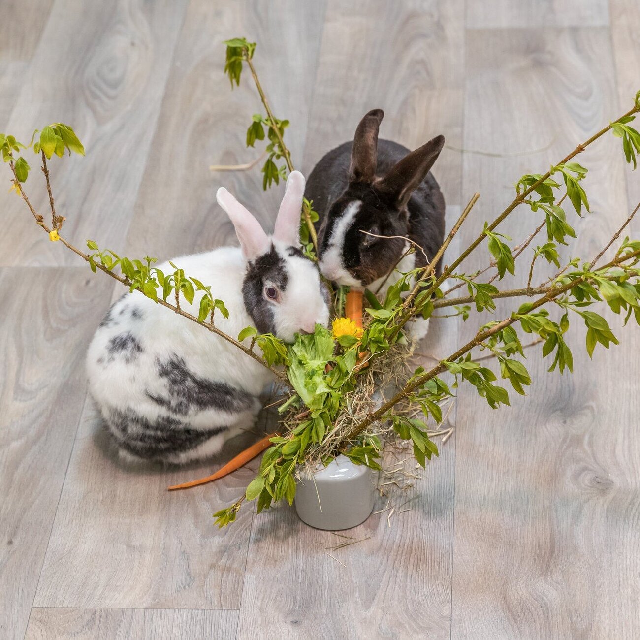 Heu und Futterraufe für Kleintiere Bild 5