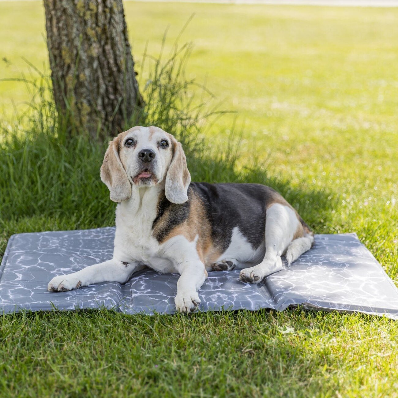 Hunde Kühlmatte Soft Bild 2