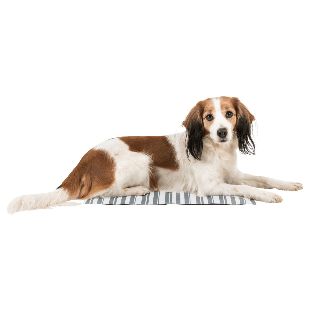 TRIXIE Hunde Kühlmatte Stripes Bild 8