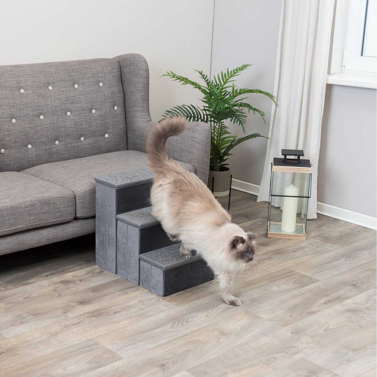 Möbeltreppe für Hund und Katze Bild 16