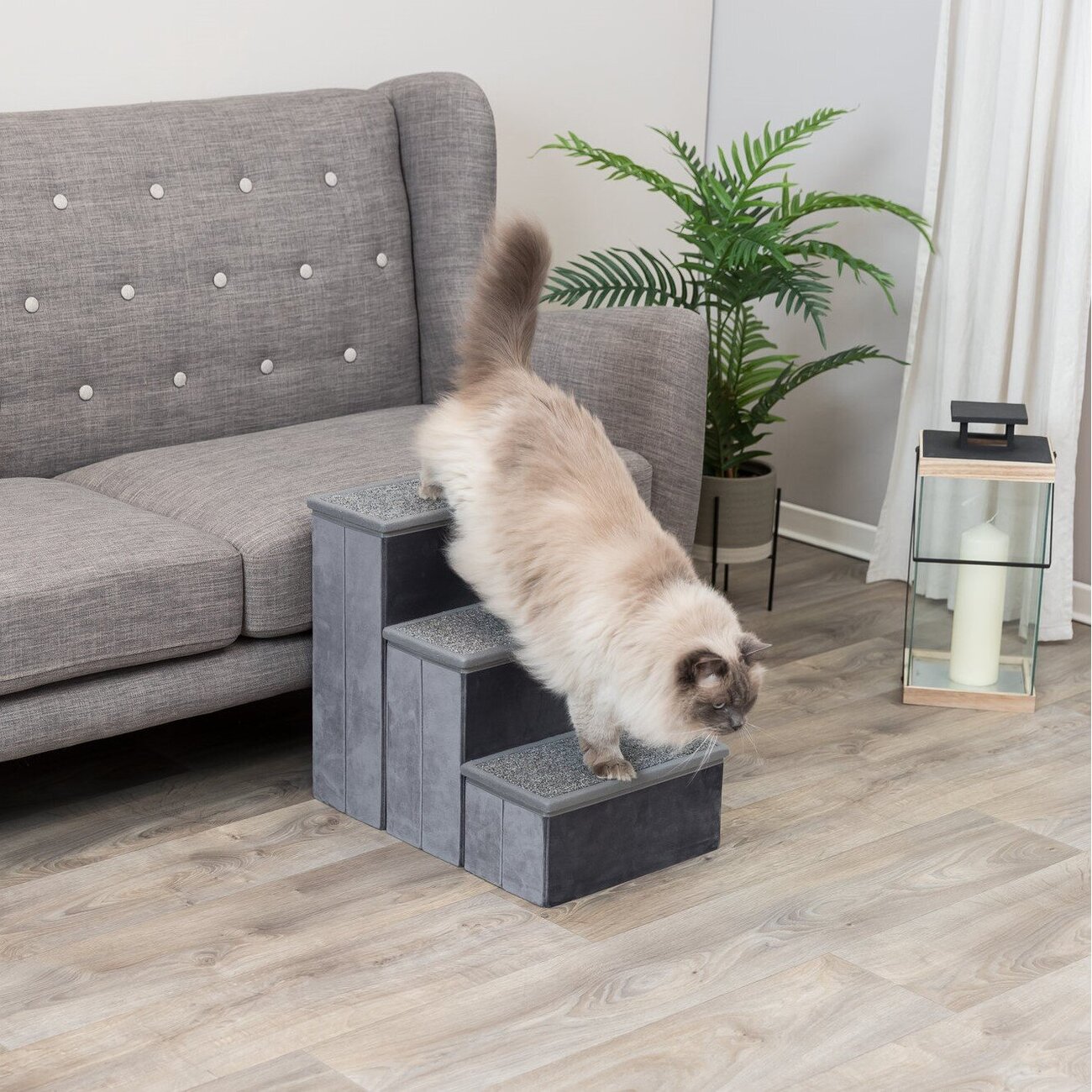 Möbeltreppe für Hund und Katze Bild 17