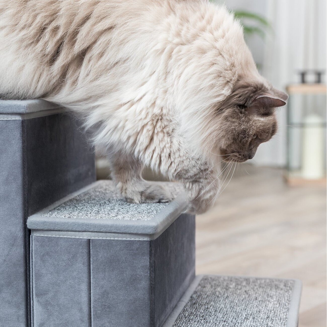 Möbeltreppe für Hund und Katze Bild 18