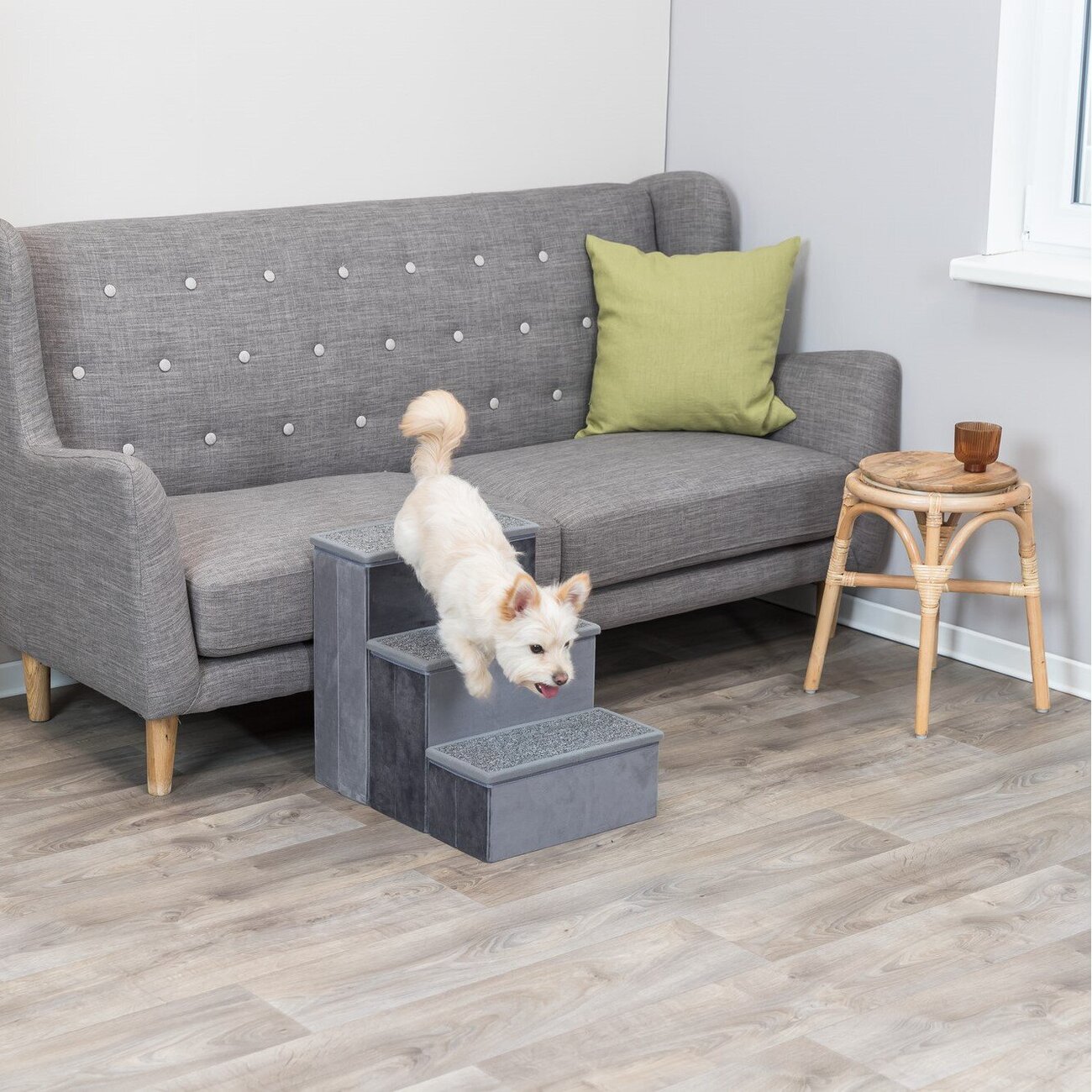 Möbeltreppe für Hund und Katze Bild 15