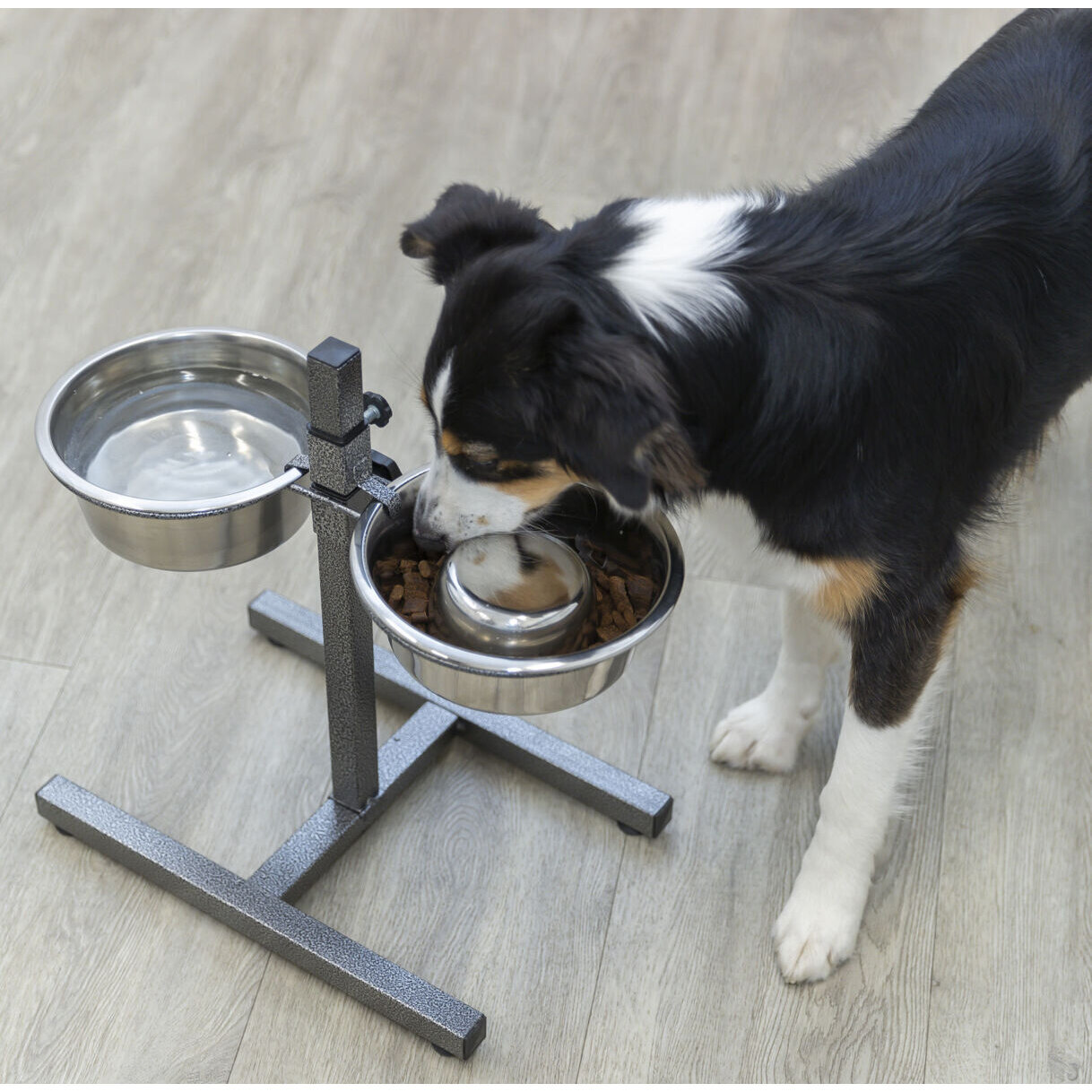 Trixie Hundebar Bild 2