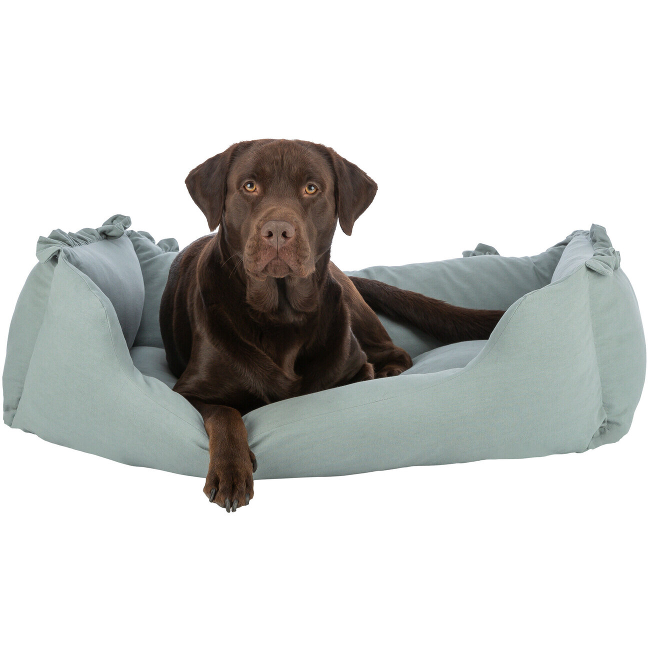 Hundebett Amelie Bild 4