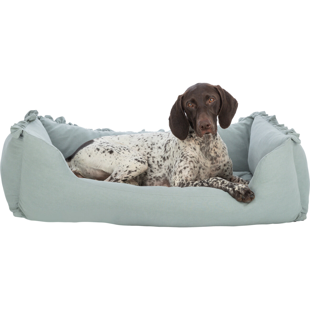 Hundebett Amelie Bild 5