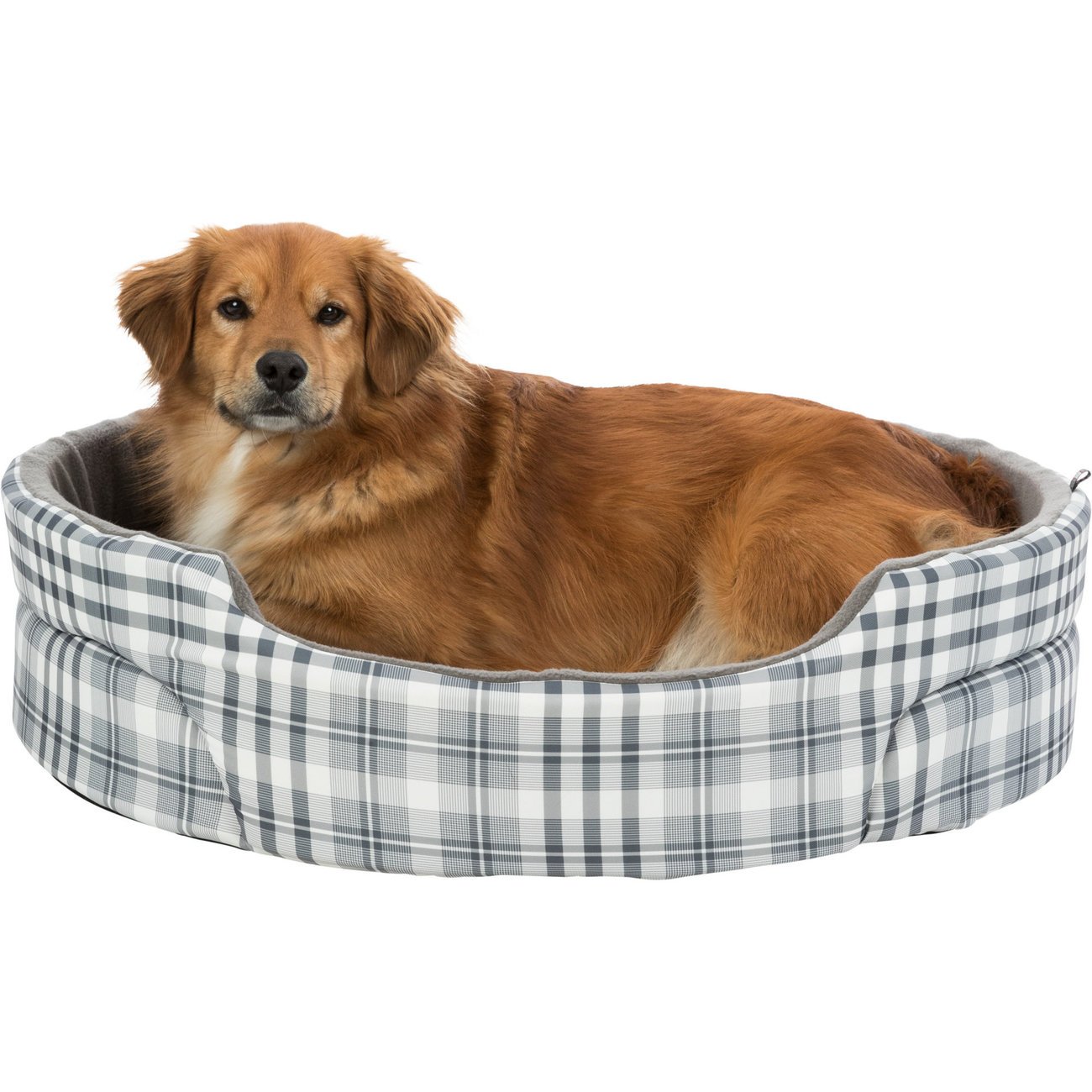 Hundebett mit hohem Rand Lucky Bild 2