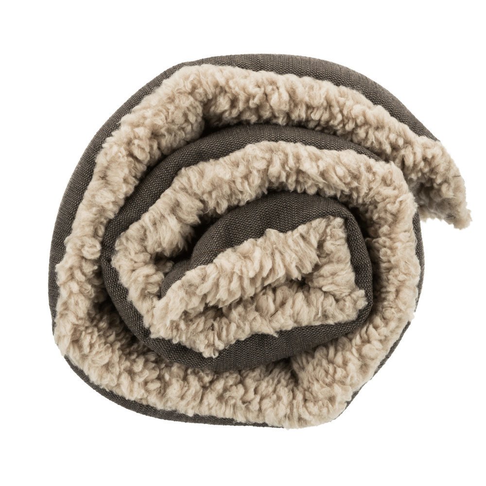 Trixie Hundedecke Reisedecke Bendson Bild 15