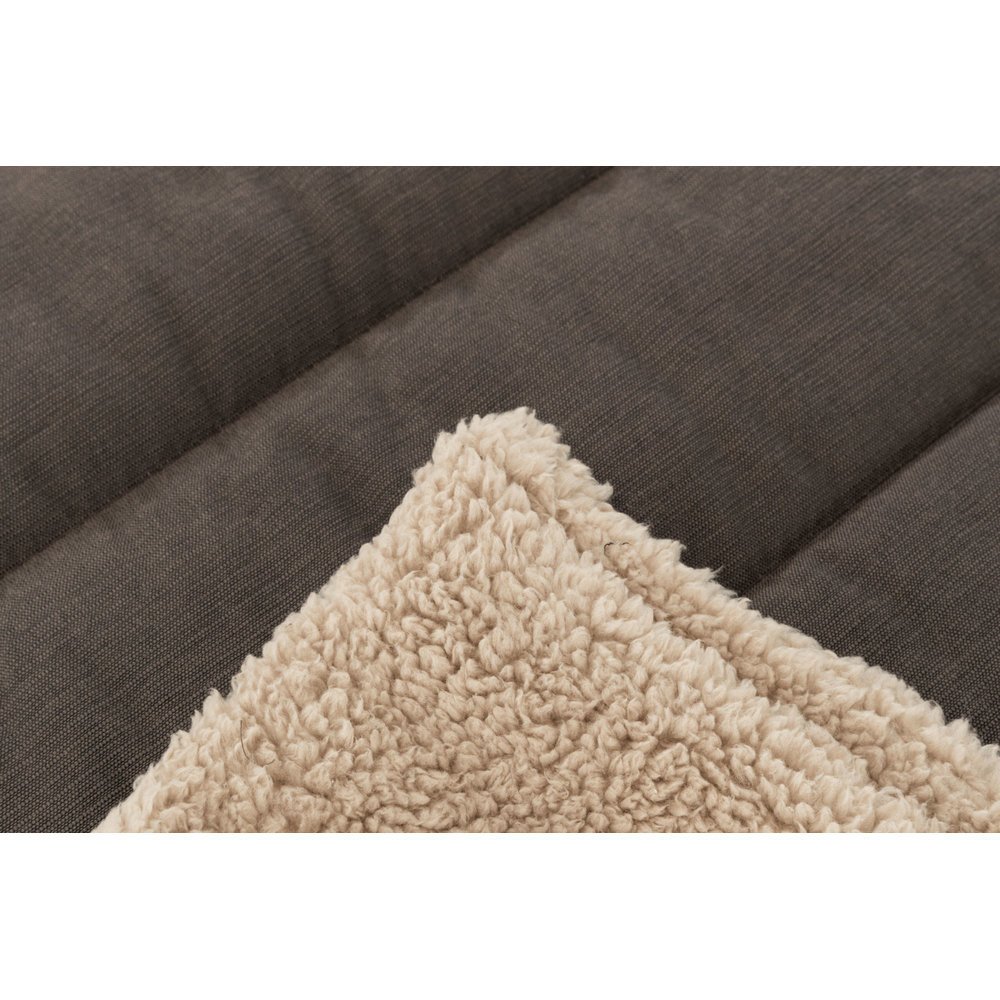 Trixie Hundedecke Reisedecke Bendson Bild 16