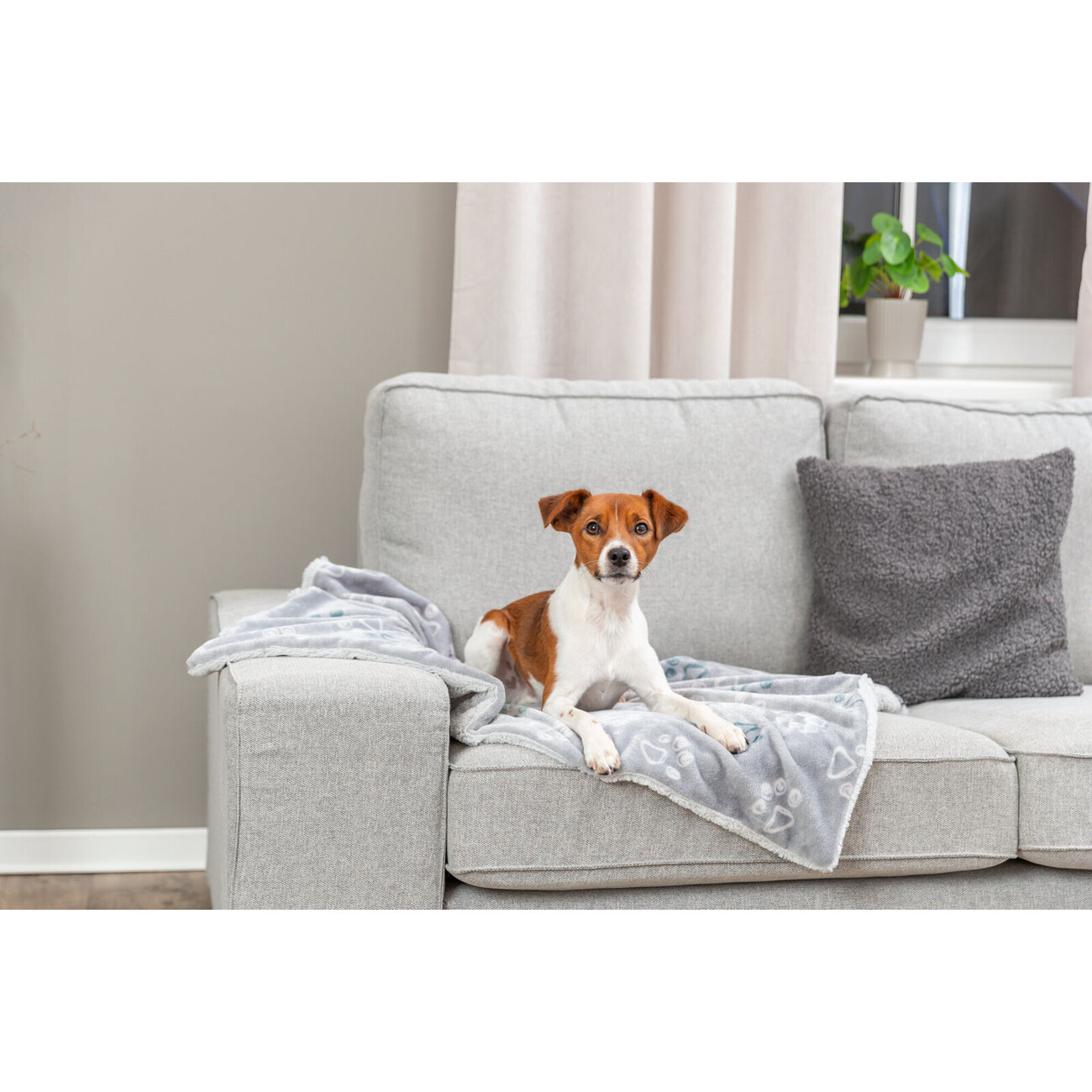 Hundedecke Jimmy Soft Bild 2