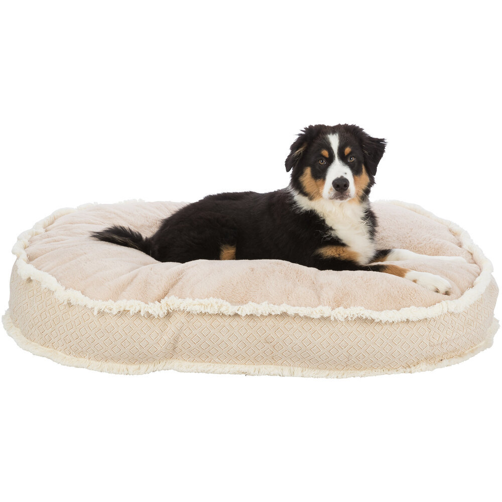 Hundekissen Boho Bild 9