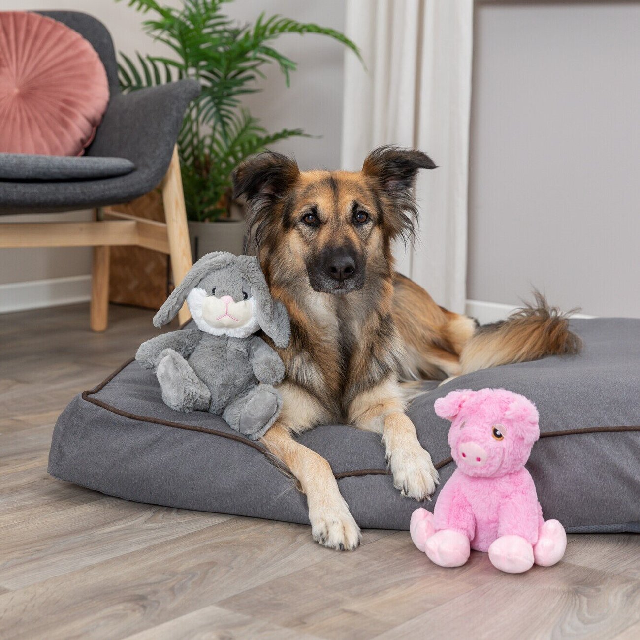 Hundekissen Talis Bild 2