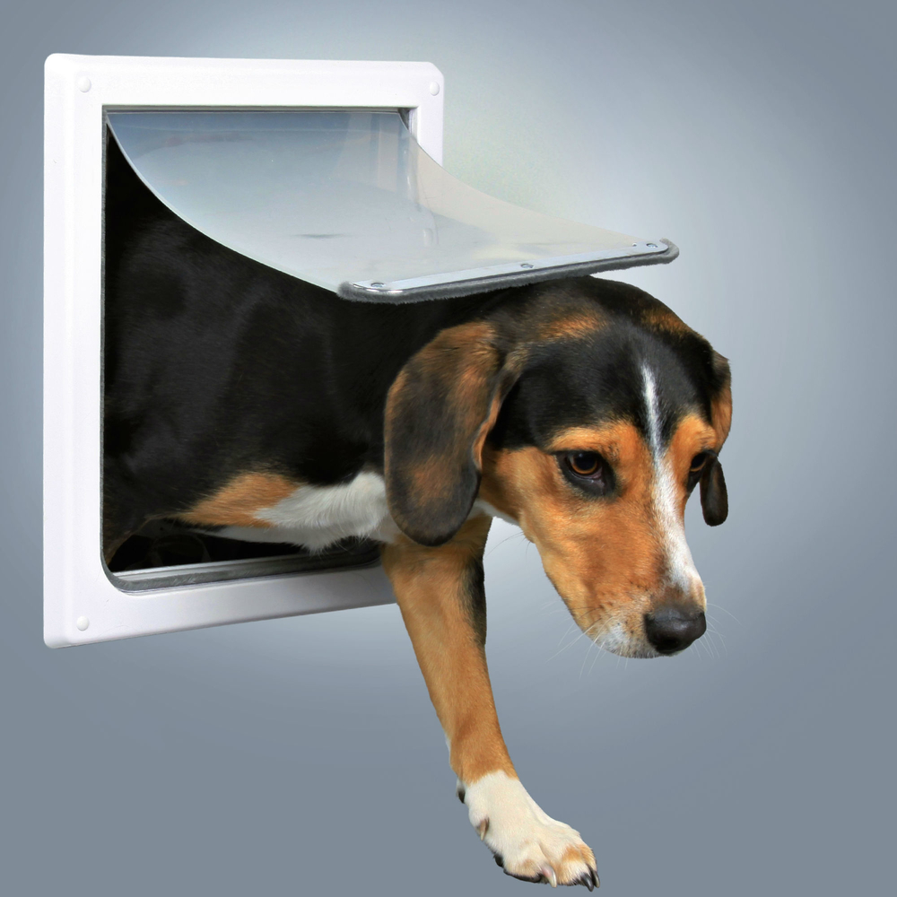 Trixie Hundeklappe mit flexibler Kunststoffklappe, S-M, weiß, 22,5 × 29,5 cm Trixie Hundeklappe mit flexibler Kunststoffklappe, S-M, weiß, 22,5 × 29,5 cm