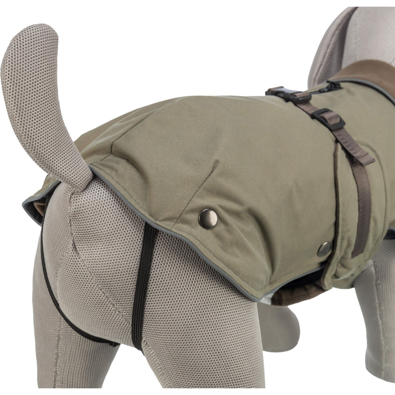 Hundemantel Hermy für schmale lange Hunde, Dackel Bild 4