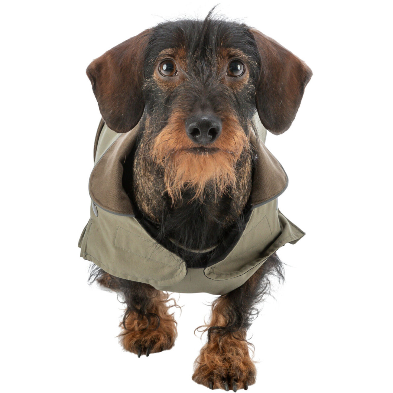 Hundemantel Hermy für schmale lange Hunde, Dackel Bild 6