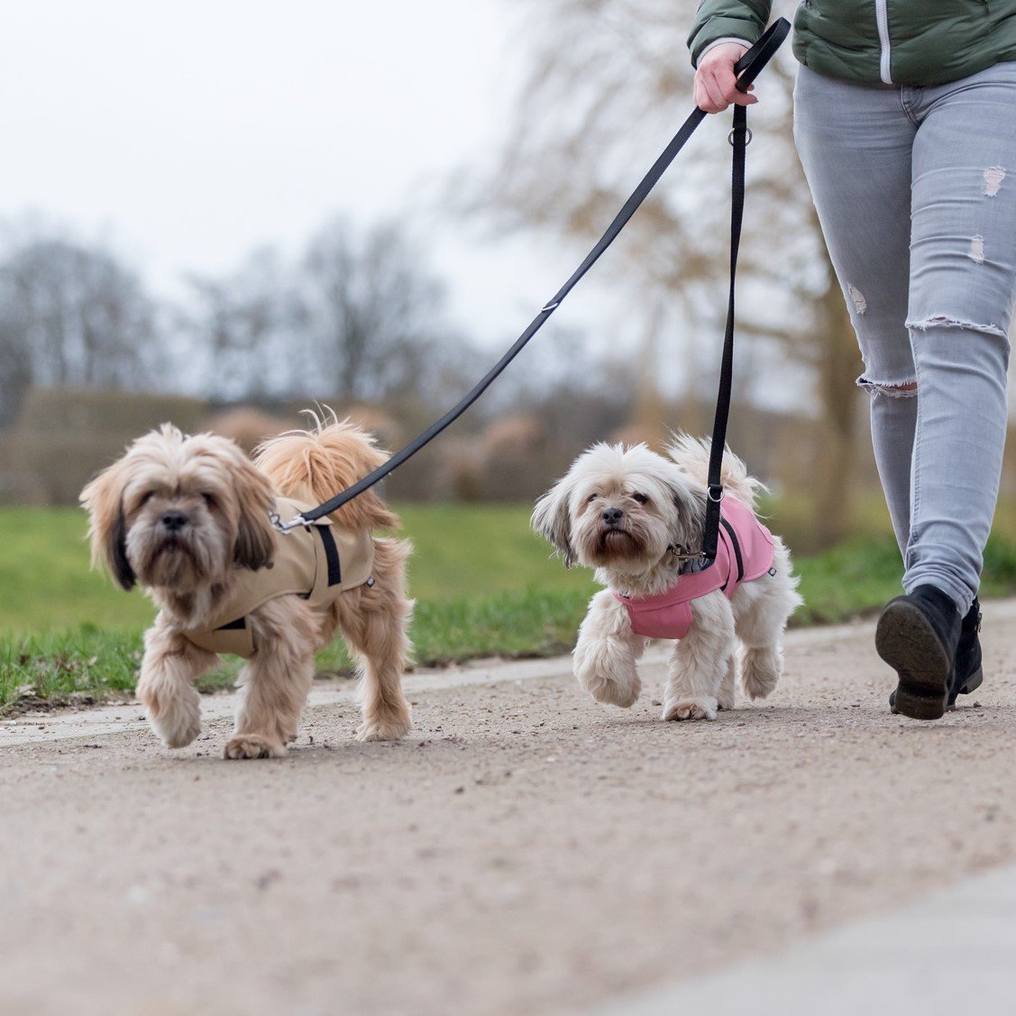 Hundemantel Paris Bild 12