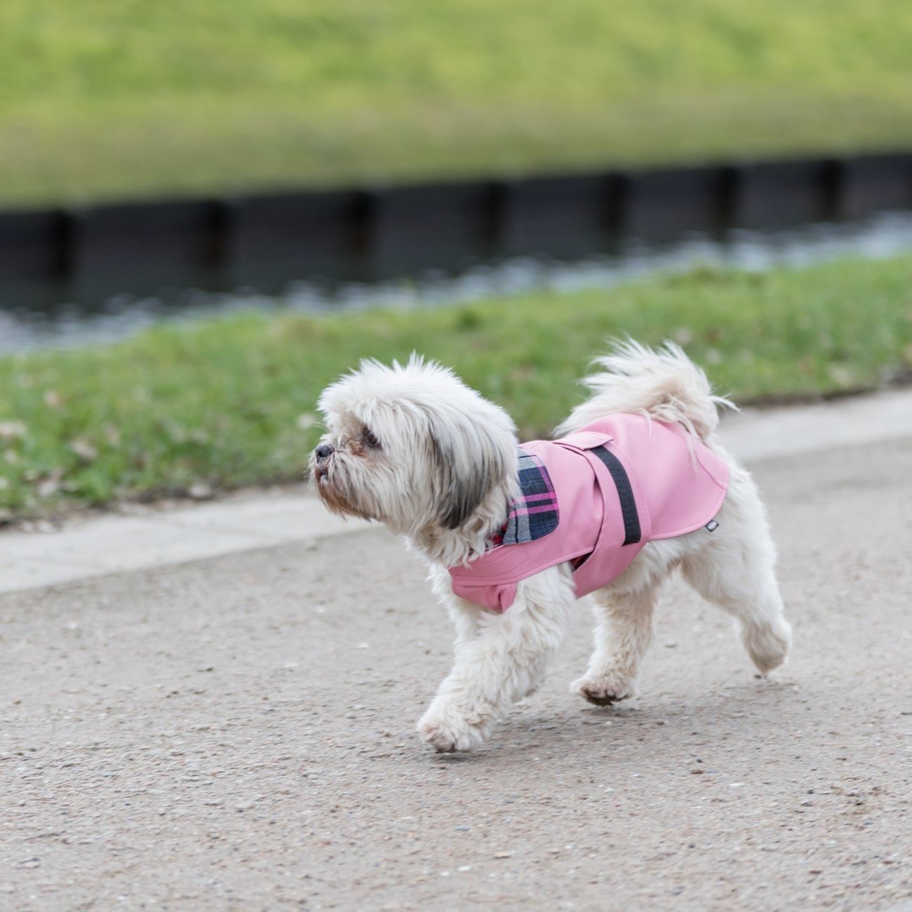 Hundemantel Paris Bild 14