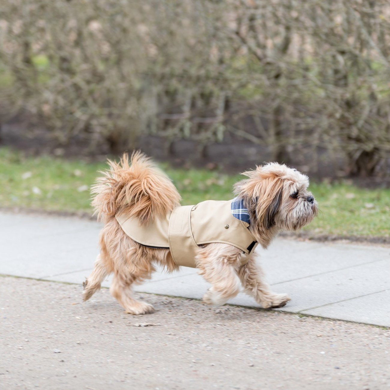 Hundemantel Paris Bild 7