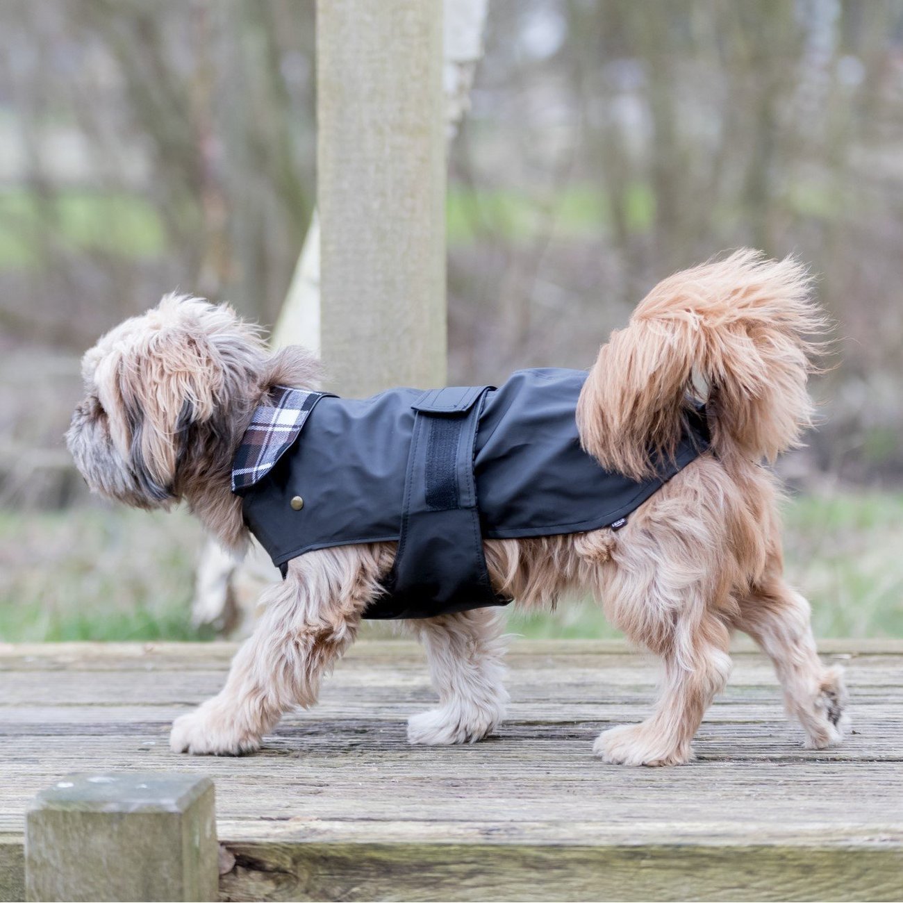 Hundemantel Paris Bild 3