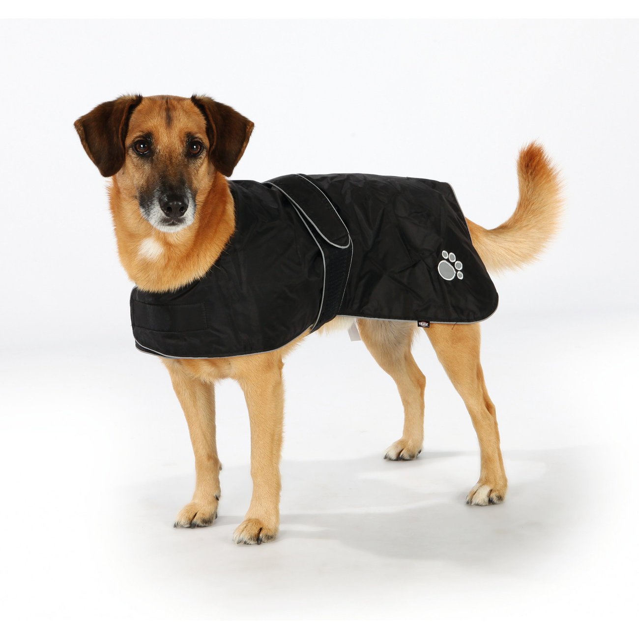 Wintermantel Orléans für Hunde Bild 7