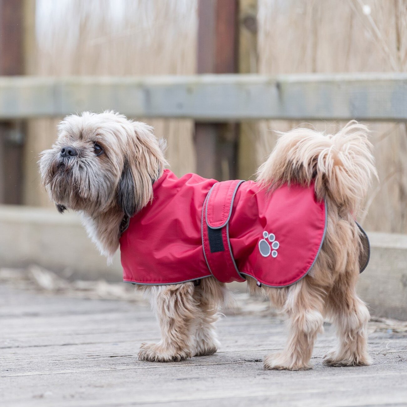 Wintermantel Orléans für Hunde Bild 3